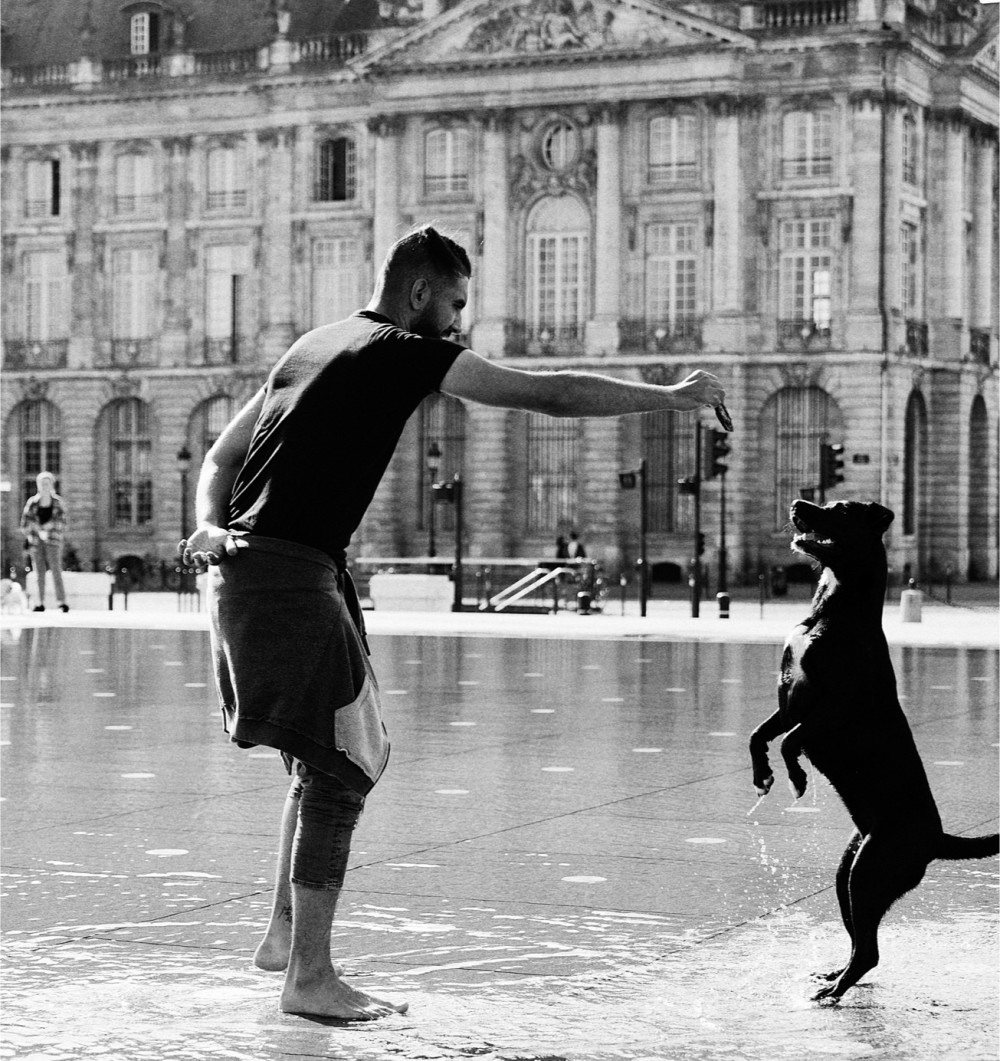 Place de la Bourse Bordeaux, dog, funny